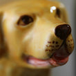 3D Golden Retriever Mug