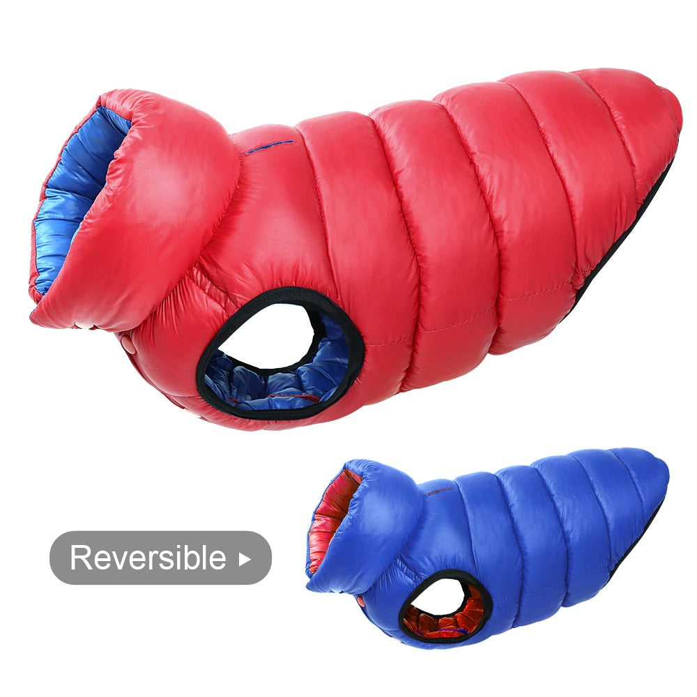 Boxer Dog Winter Jacket