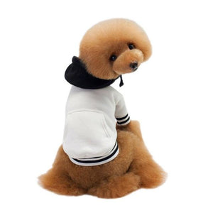 Sport Jacket/Hoodie