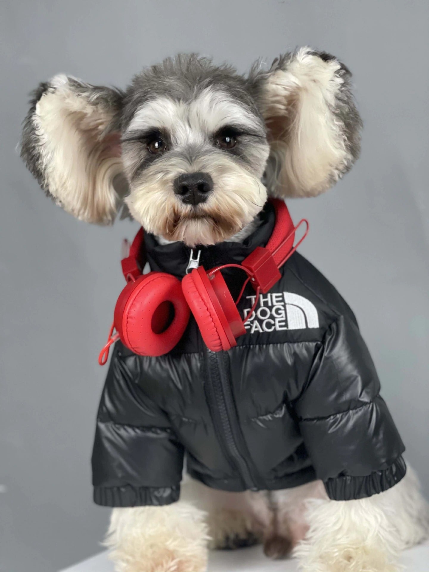 The Dog Face Jacket