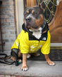 North Face Dog Jacket